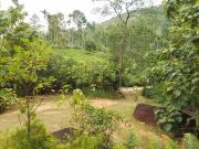 Birds rock villa Sinharaja