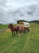 Top Nowy Targ Top Nowy Targ