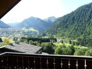 Chalet Loupnots 3P avec vue