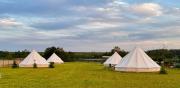 New Generation Camp