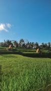 Swaha Retreat & Eco Park Ubud