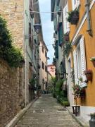 Top Muggia Top Muggia