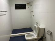 Crown Majesty - Arugambay