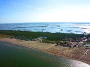 Top Rosolina Mare