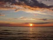 Top Dziwnówek Top Dziwnówek