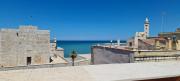 Top Trani