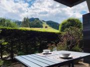 Ravissant studio avec terrasse à Torgon