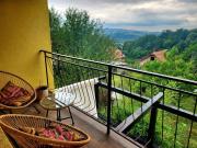 Top Banja Koviljača