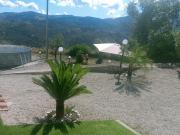 Top Militello Rosmatino