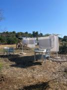 Top San Pietro in Bevagna