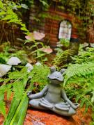 Top Uniejów Top Uniejów