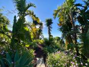 Top Icod de los Vinos