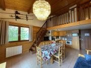 Duplex 6 pers, pied des pistes avec WIFI - FR-1-733-6