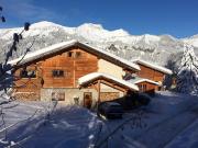 Chalet 10 personnes au centre village avec wifi et parking - FR-1-733-34