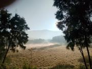 Dieng glamping syariah