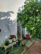 Top Santa Cruz de Tenerife