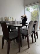 Top Aguascalientes Top Aguascalientes