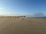 Top Port-Bail-sur-Mer