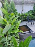 Top Ubud