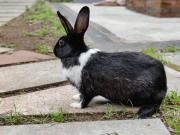 Top Yercaud Top Yercaud