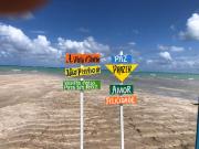 Recanto dos bem-tevis