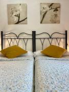 Top Carreña de Cabrales