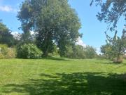 Gîte de charme Floréales Les Myosotis