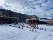 Top Łódź Top Łódź