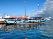 Tour às Ilhas-Salvador