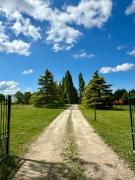 Top Saint Laurent Nouan