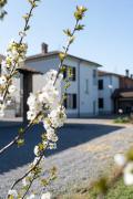 Top Cervesina