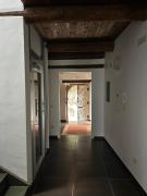 Top Laurino Top Laurino