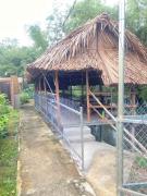 Top Ấp Thanh Sơn (1)