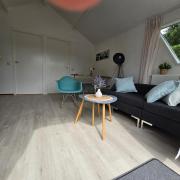 Cozy cottage Tzummarum near the Wadden Sea