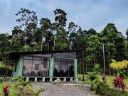 Tropical Crystal House