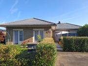 Les mésanges bleu Les mésanges bleu