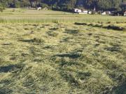 Top San Lorenzo di Sebato