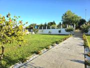 Apartments Dacic