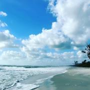 Top Cape Coral