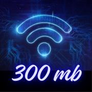 Top San Luis Potosí