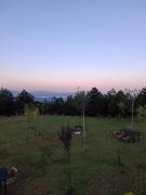 Vila Alpine Arlon Gjinar