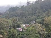 Top Munnar