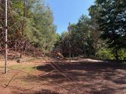 Cozy Center Apartment in Druskininkai