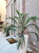 Morgana Luxury Apartment