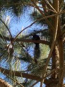 Top Montalivet-les-Bains