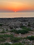 Top Calan Bosch Top Calan Bosch