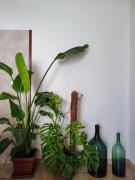 Nostos B&B - Back to the Sea Nostos B&B - Back to the Sea