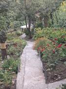 Green House მწვანე სახლი