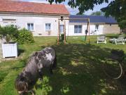 GITE diner AMERICAIN