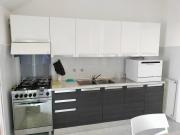 Seagulls, Elegance and Freedom